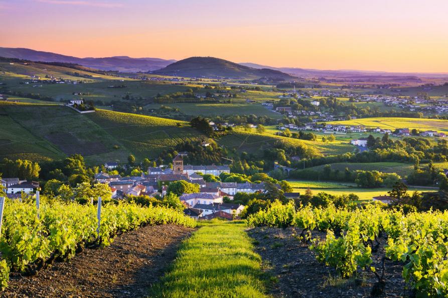 Mount Brouilly Beaujolais